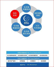 DSL國際兌付系統 區塊鏈3.0的真實落地應用與網絡信息技術研發